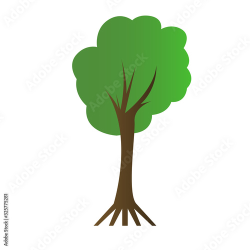 Isolated tree icon