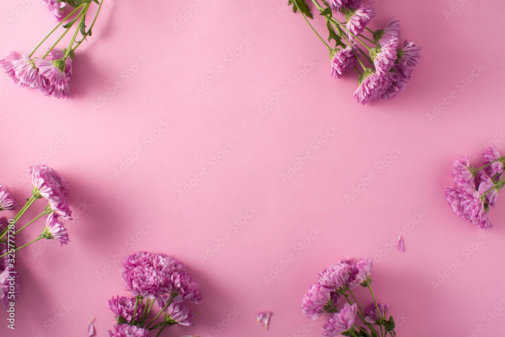Purple chrysanthemum and petals on pink background copy space