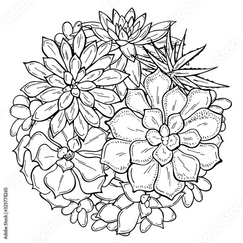 Bouquet of succulents on a white background. Flowers in the desert. Vector illustration. Perfect for coloring book, invitation,greeting card, print.