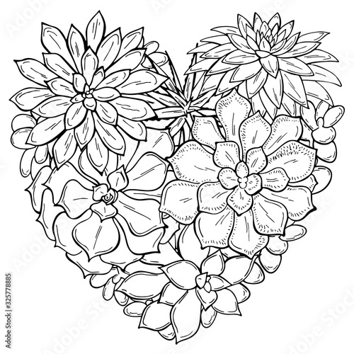 Bouquet of heart shaped succulents on a white background. Flowers in the desert. Vector illustration. Perfect for coloring book, invitation,greeting card, print.