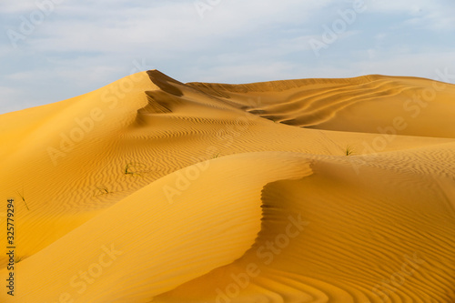 Beautiful sand dunes in the desert in United Arab Emirates