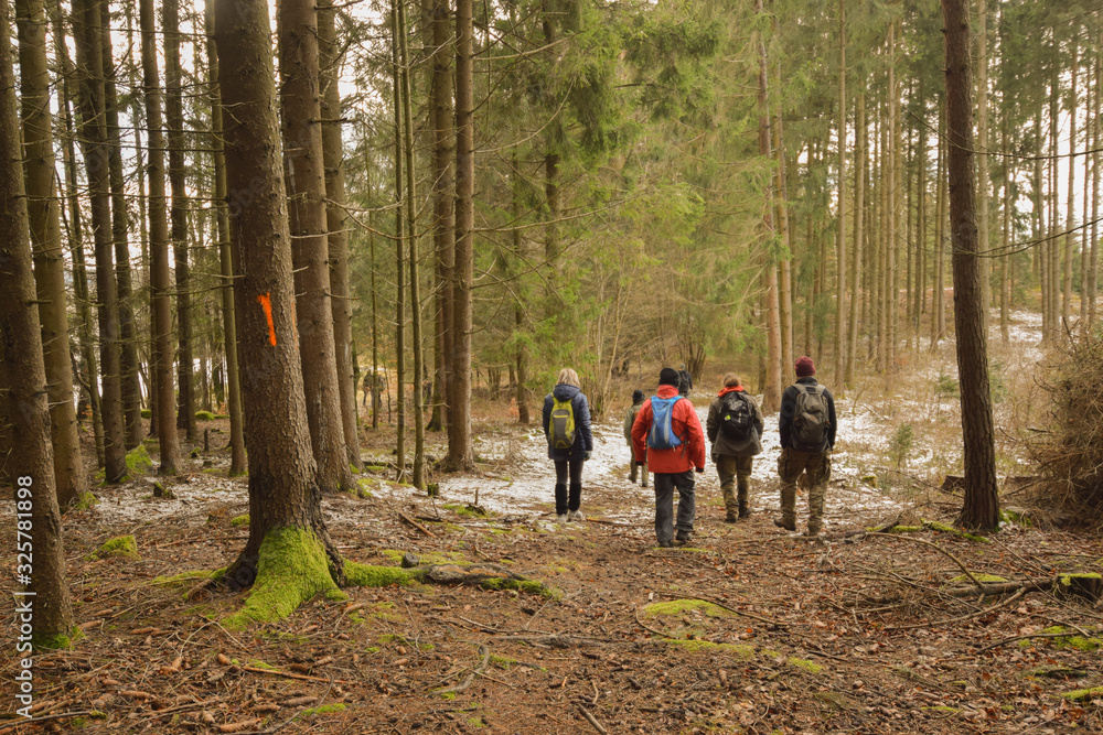 Group of people treking on the forest path Group of people treking on the forest path