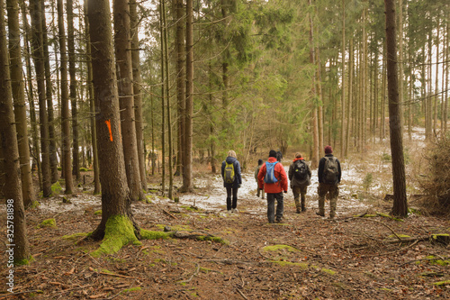Group of people treking on the forest path
