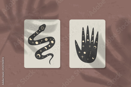 shadow of a tropical leaf on paper. tarot cards, seance, astral sacred illustration. geometry, the solar system, cosmic bodies, the sun and the moon. Vector graphics