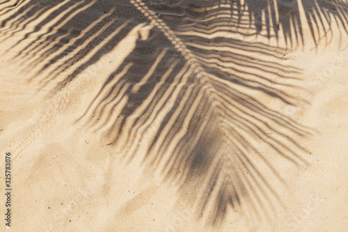 Tropical beach sand with shadows of coconut palm tree leaves. Travel and vacations concept background.