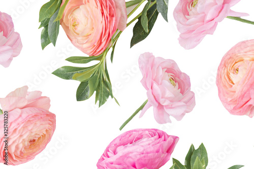 Fototapeta Naklejka Na Ścianę i Meble -  Spring flowers. Pink Ranunculus flower isolated  on white background. Flat lay, top view, copy space. Summer Pattern  for invitation to party or holiday.