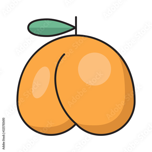 fruit