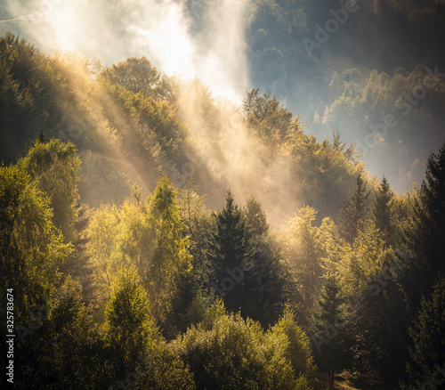 rays of the sun