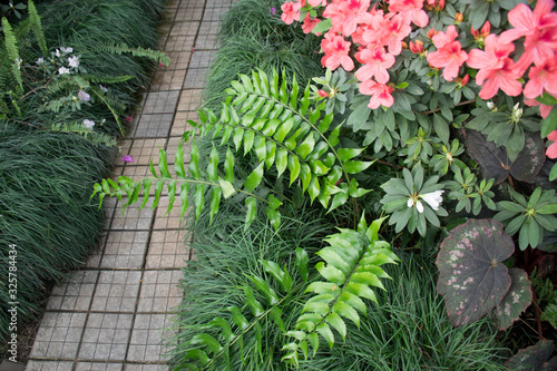 Pathways with green garden surrounded by tropical plants and flowers. Landscaping in the garden, top view of junction walkway on green grass field and flower garden.