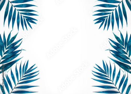  Palm leaves border isolated on white. Fresh exotic tree foliage, paradise beach, summer vacation and holiday concept