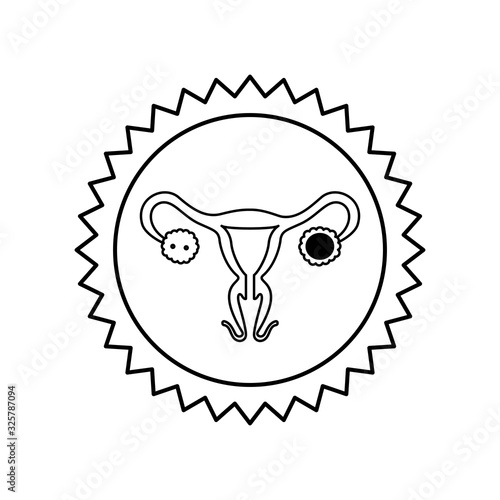 Isolated female reproductive system icon vector design