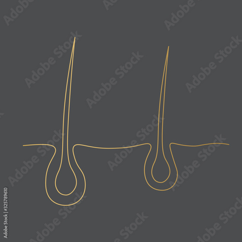 golden hair follicle icon- vector illustration