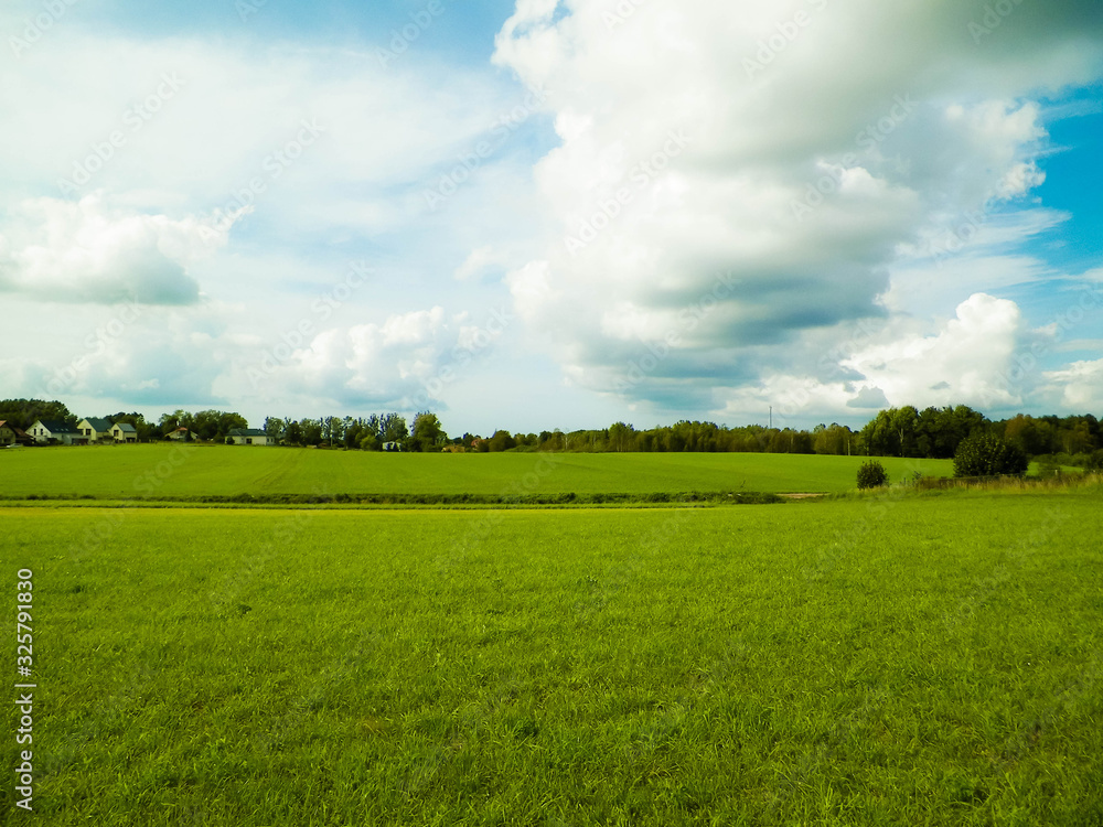 Green field in the Kashubian countryside. Poland.