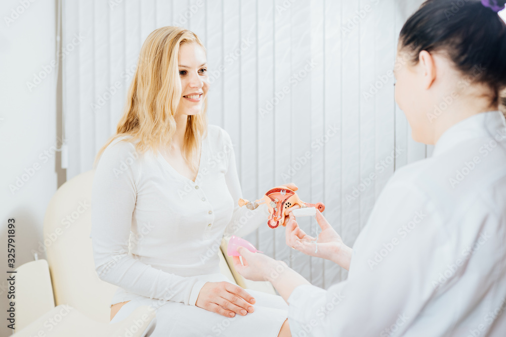 Female gynecologist holding anatomical model Female gynecologist holding anatomical model