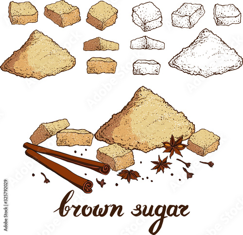 Vector set with hand drawn brown sugar in pieces and powder with cinnamon sticks , stars and clove. Illustration of realistic ingredients for cooking for food design.