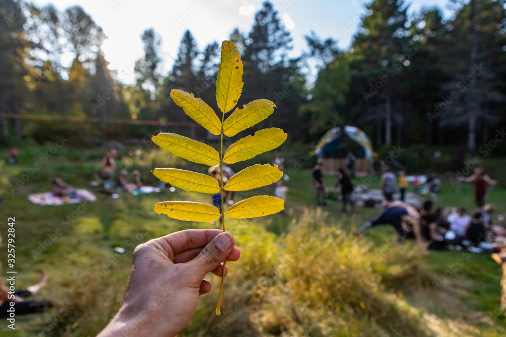 Obraz premium A first person perspective with selective focus on an autumnal leaf in the hand of a person, at an earth festival with blurry people at campsite in background