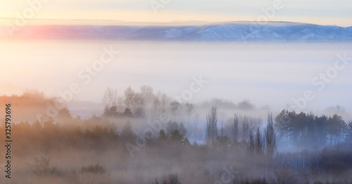 fog in the forest and mountains