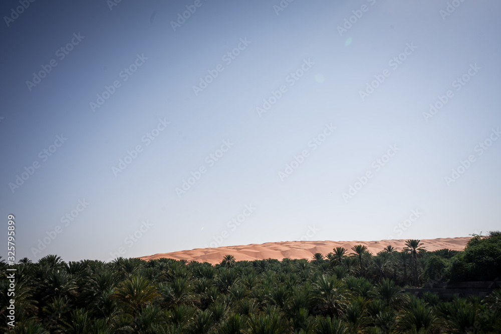 Dune formation behind a palm forest in Wahiba Sands desert, Oman