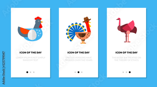 Bright bird flat icon set. Hen, turkey, ostrich isolated vector sign pack. Wildlife and nature concept. Vector illustration symbol elements for web design and apps