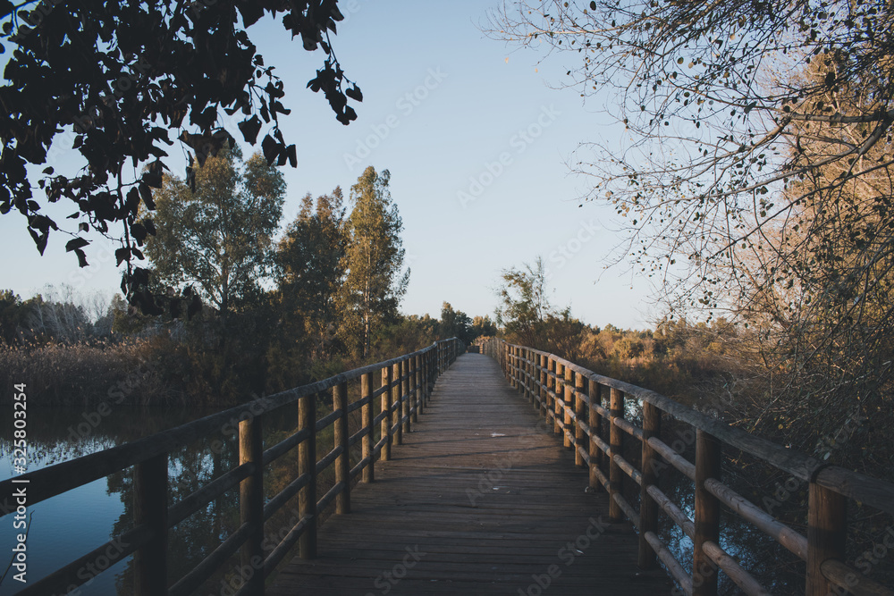 Wooden bridge in autumn day Wooden bridge in autumn day