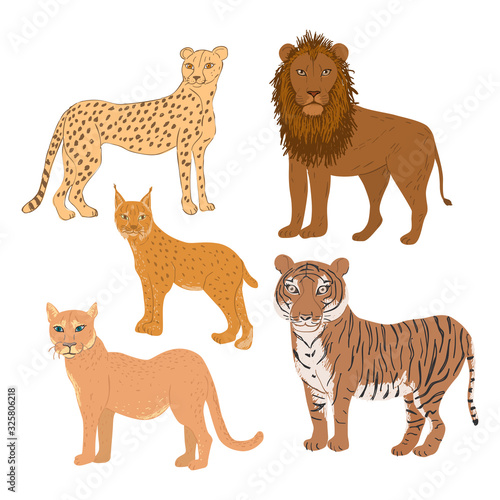 Set of cartoon feline animals. Cheetah, lion, lynx, cougar, and tiger vector illustration.