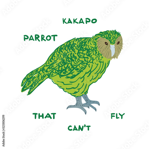 Drawn kakapo with text Kakapo parrot that can not fly. Childish tee shirt print. photo