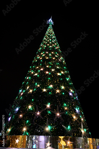  Illuminated Christmas tree at night
