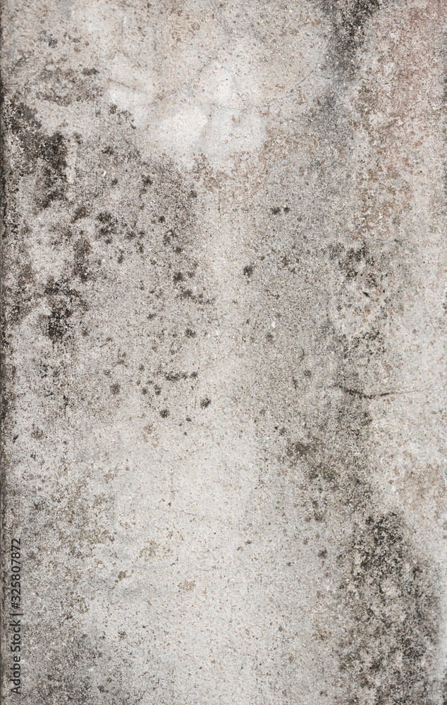 Fototapeta premium Concrete natural texture or background