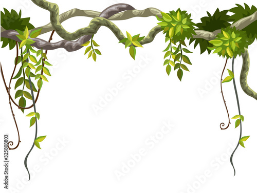 Liana branches and tropical leaves on white background. Cartoon frame plants of jungle with space for text. Isolated vector illustration.