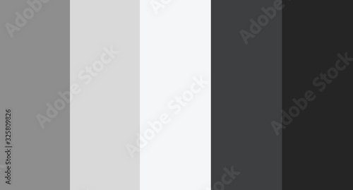 Gray color palette vector illustration