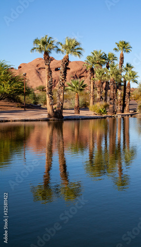 Palm Reflections Papago Park