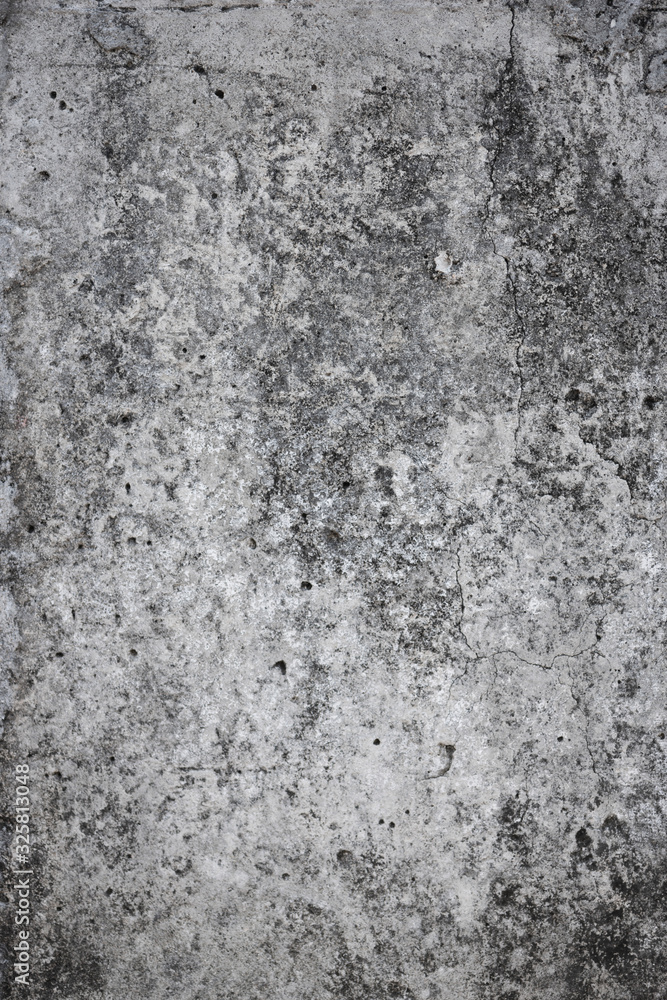 Fototapeta premium Concrete natural texture or background