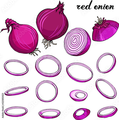 Vector set : hand drawn fresh red onion . Bulbs, pieces, rings. Isolated on white elements for vegetarian, food design