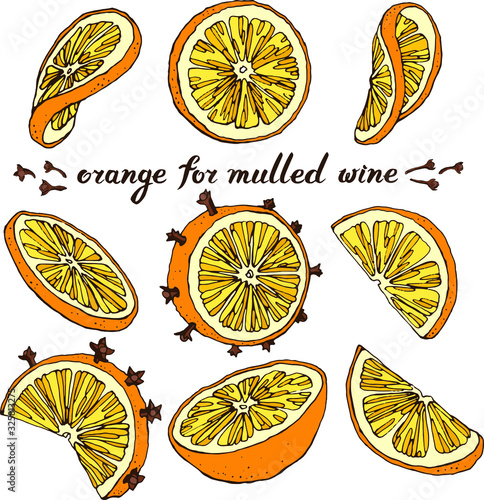 Vector set with different  orange slices. Hand drawn linear and colored  sketch. Lettering : orange for mulled wine . Spice cloves