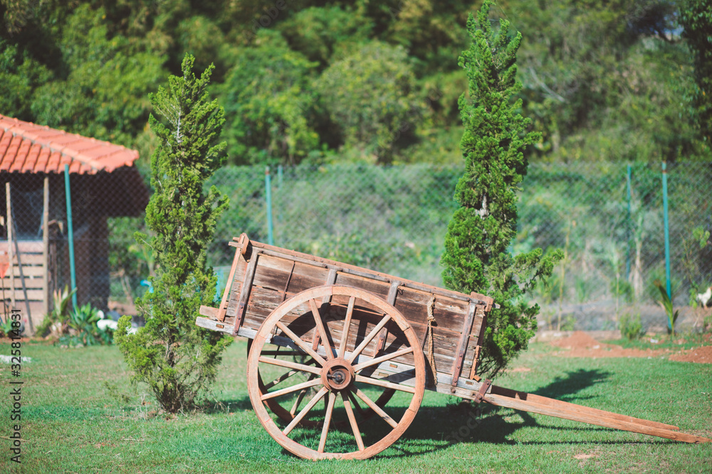 wooden cart on the farm