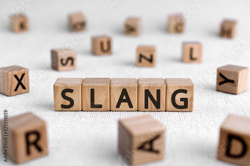 Slang - words from wooden blocks with letters, a type of language slang concept, white background