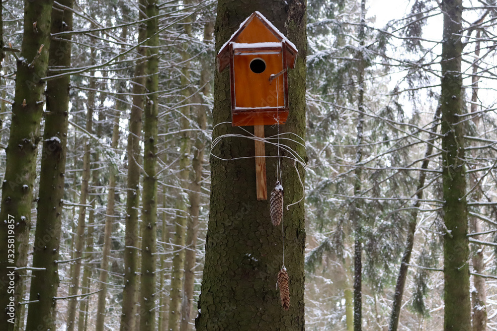 Wooden bird house on a tree in the forest. Bird feeders