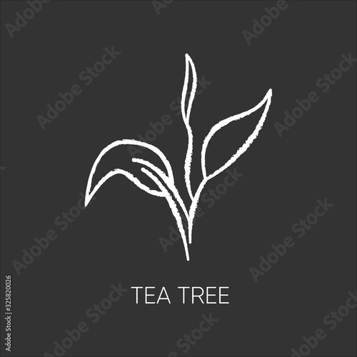 Tea tree chalk white icon on black background. Skincare product component. Aromatherapy. Herbal moisture. Essential oil. Natural cosmetic ingredient. Isolated vector chalkboard illustration