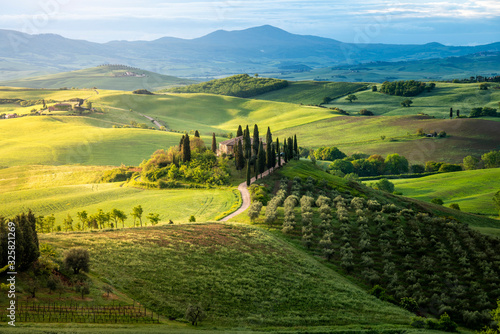 Country house on rolling hills in Val d'Orcia, Tuscany, Italy. Green meadow at springtime. photo