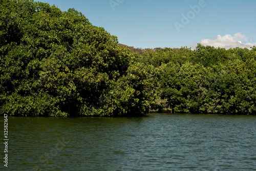 Llegando al manglar