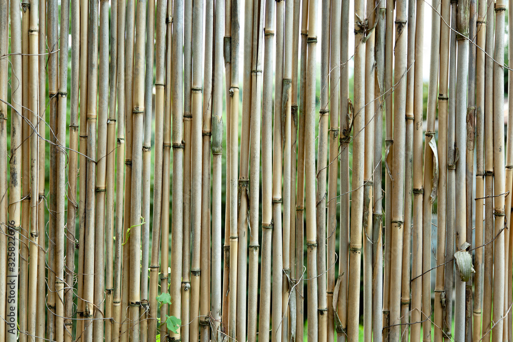 Fototapeta premium old brown tone bamboo plank fence texture