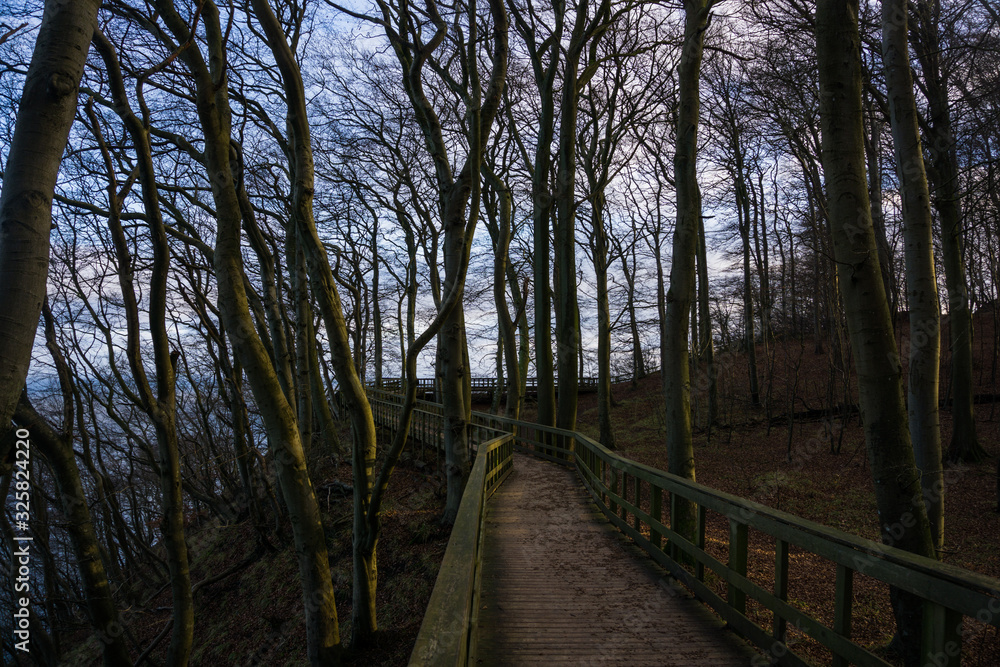 Møn's Klint Møn's Klint