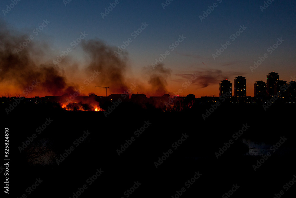 Fire in Delta Vacaresti, Bucharest, Romania, 2020-02-24