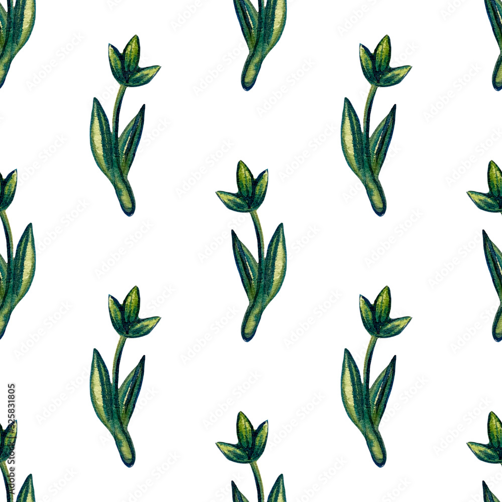 Set of watercolor drawing herbs, branches and flowers illustration. Floral botanical seamless pattern