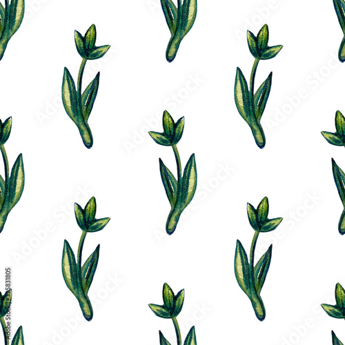 Set of watercolor drawing herbs  branches and flowers illustration. Floral botanical seamless pattern