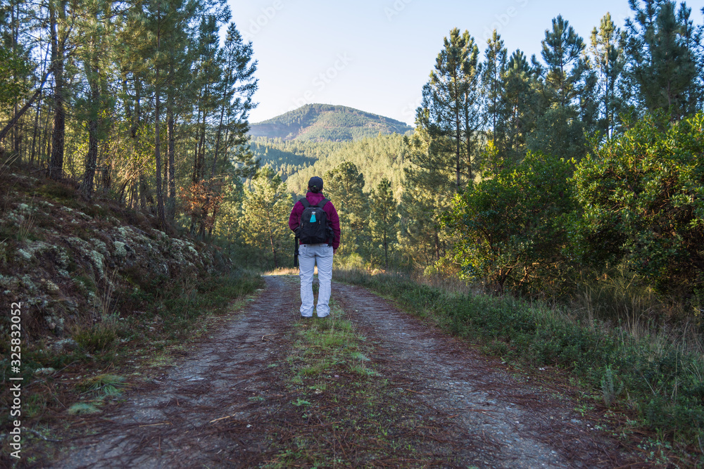 Obraz premium Mujer caminando en la naturaleza con mochila en la espalda