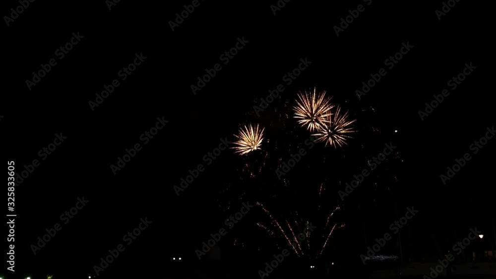 palm tree shaped fireworks for national day in the French Riviera palm tree shaped fireworks for national day in the French Riviera