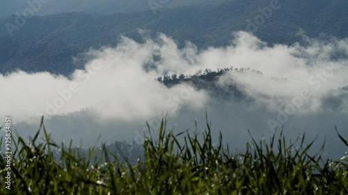 A misty mountain landscape with grass in the foreground