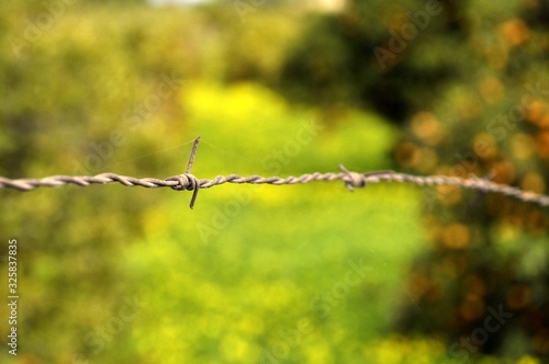 barbed wire on a background of green grass
