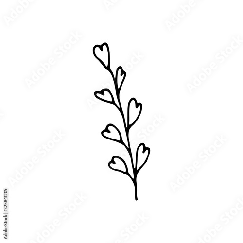 Cute single hand drawn herbal elements with heart leaves. Spring flowers. Doodle vector illustration for wedding design  logo  greeting card and seasonal design